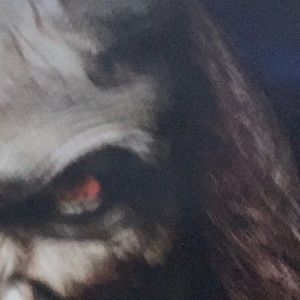 Meet your Posher, Gavin